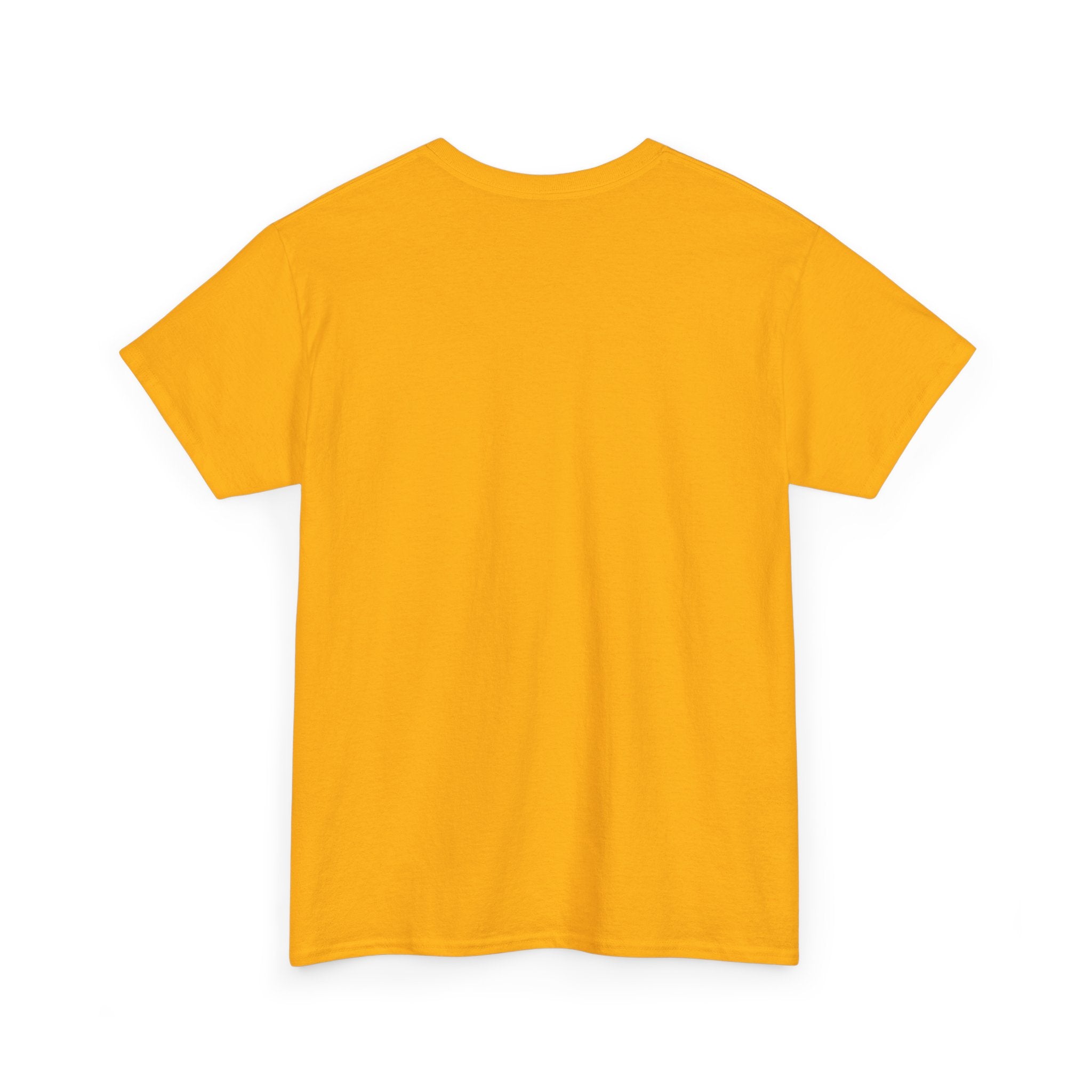 Evolution Theme Unisex Heavy Cotton Tee | Casual Wear, Gift for Nature Lovers